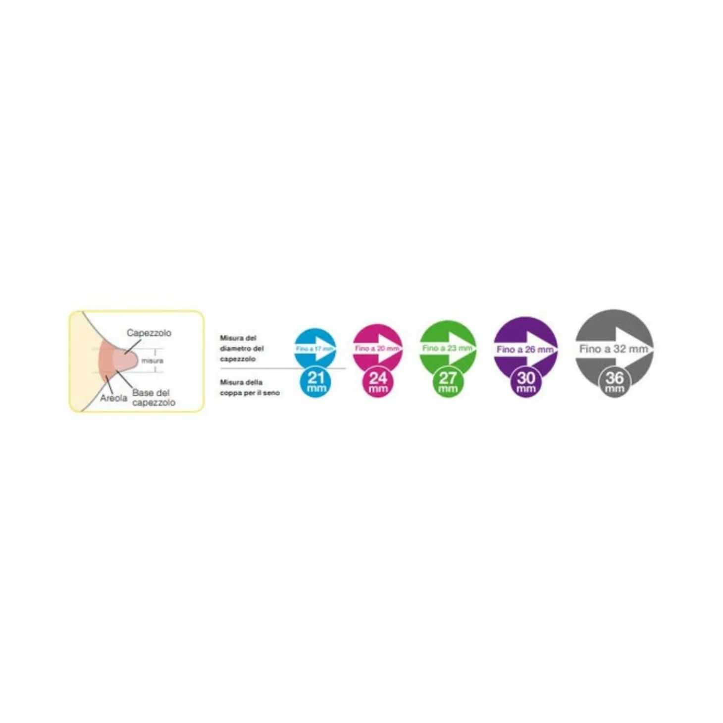 Medela Personalfit Flex (2 Coppe Per Il Seno)