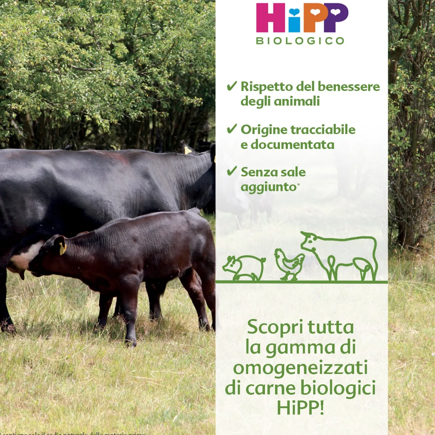 Omogeneizzato Carne Agnello Con Verdure: Confezione 2x80 gr