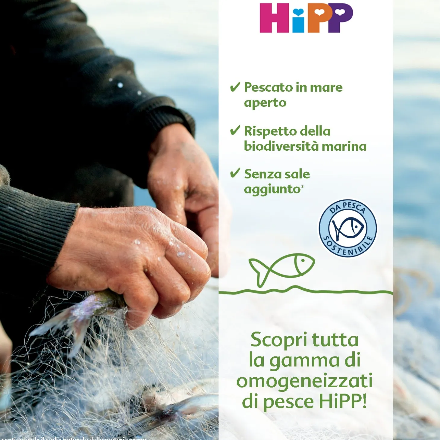 Omogeneizzato Pesce Merluzzo Con Carote E Patate: Confezione 4x80 gr