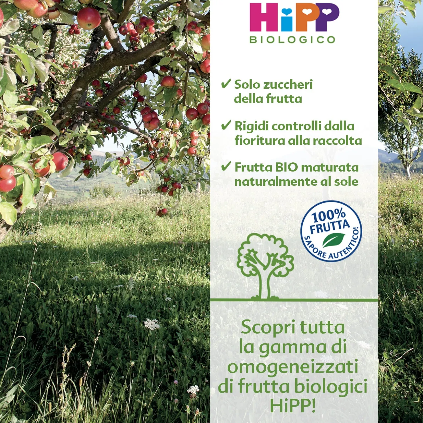Omogeneizzato Tesori Di Frutta Mela Fragola E Lampone: Confezione 160 gr