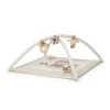 Palestrina Trainer (Copy )