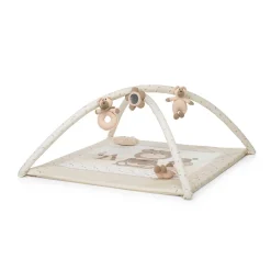 Palestrina Trainer (Copy )
