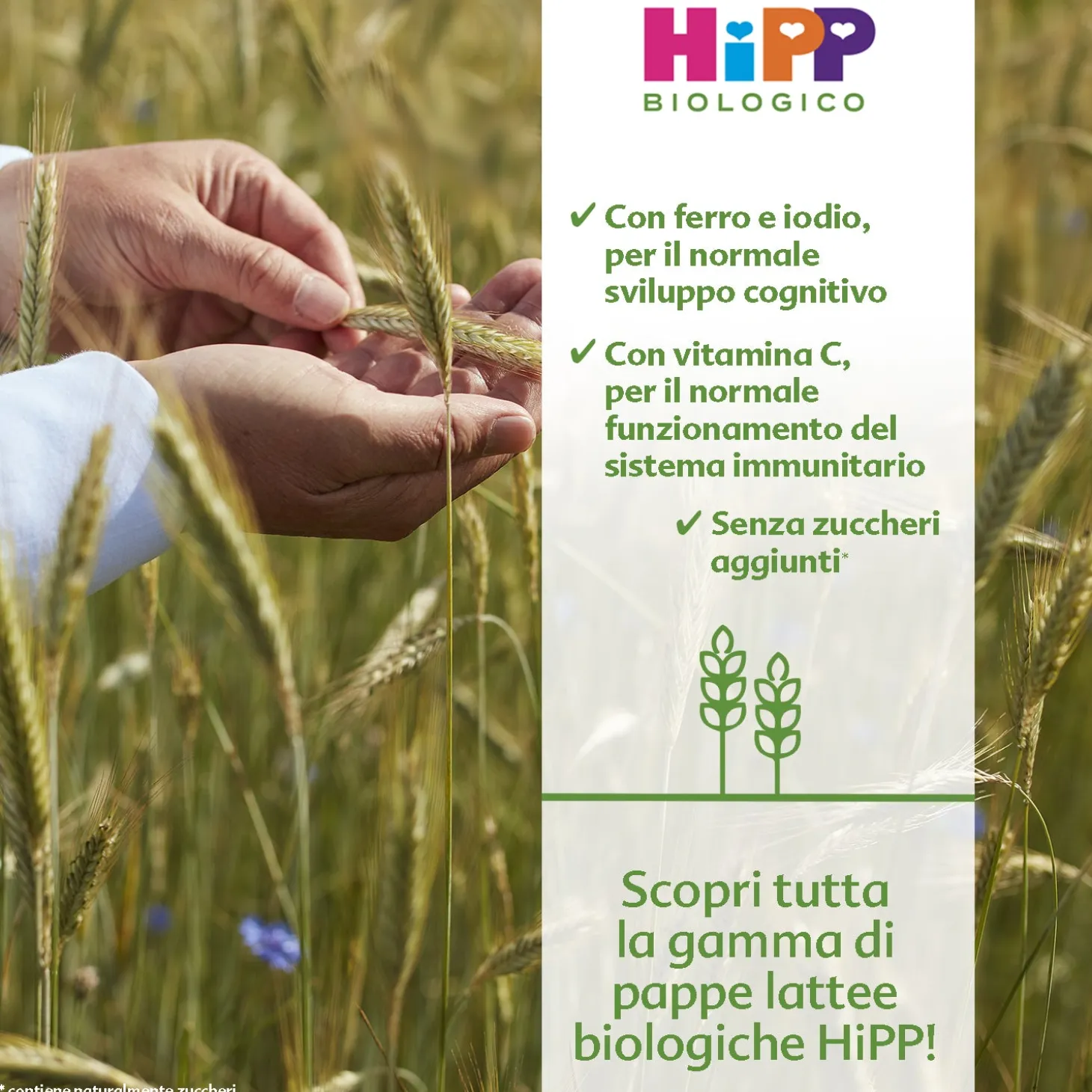 Pappa Lattea Biscotto: Confezione 250 gr