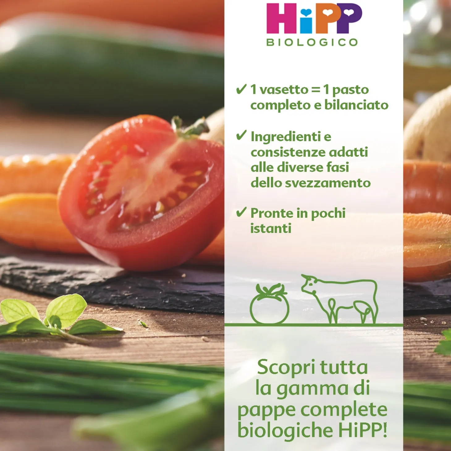 Pappa Pronta Pastina Con Tris Di Verdure: Confezione 190 gr