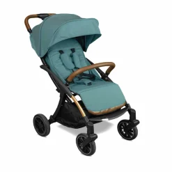 Passeggino Wizard E