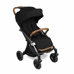 Passeggino Wizard E