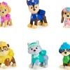 Paw Patrol : Confezione Regalo 10 Personaggi