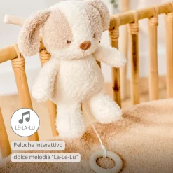 Teddy Carillon Cane Ps26 C