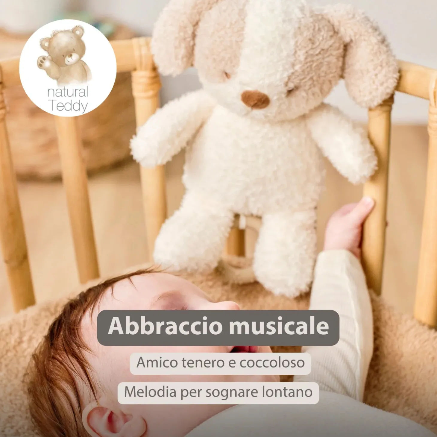 Teddy Carillon Cane Ps26 C