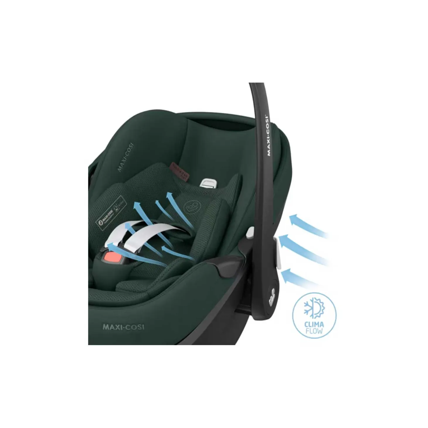 Trio Leona2 con Pebble 360 Pro2+Base Auto 360 Pro Omaggio