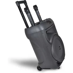 Trolley Pro Amplificatore Wireless Con 2 Microfoni 04 1090