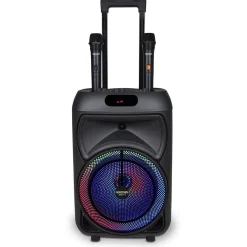 Trolley Pro Amplificatore Wireless Con 2 Microfoni 04 1090